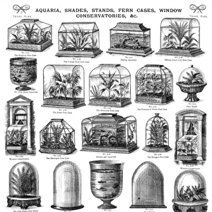Aquaria, shades, stands, fern cases, Plate 116