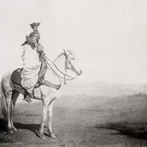 Arab man, falconer with falcon, mounted on a horse, Algeria