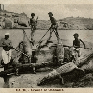 Arab men with crocodiles, Cairo, Egypt