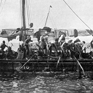Arab pearl divers at work, 1903