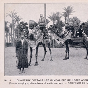 Arab Wedding - Drummers mounted on camels - Syria
