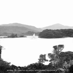 Among the Arbutus Islands, Upper Lake, Killarney