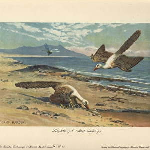 Two Archeopteryx foraging on the shore