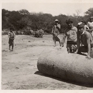 Argentina - Indigenous Tribesmen roll a bottle tree trunk