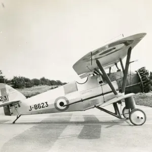 Armstrong Whitworth Siskins and a de Havilland DH56 Armstrong Whitworth Siskins and a de Havilland DH56