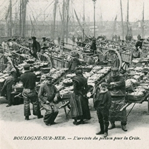 The arrival of the catch - Boulogne-sur-Mer