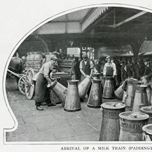 Arrival of a milk train, Paddington Station 1903