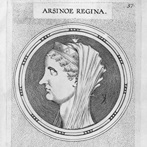 Arsinoe, Queen of Egypt