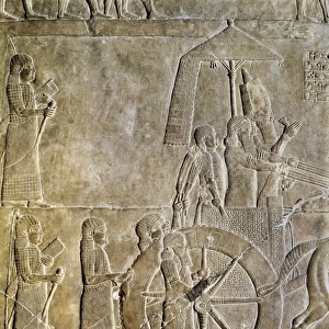 Ashurbanipal on his chariot