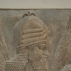Assyrian Art. Reliefs from Sargon IIs Palace. Genius. Dur