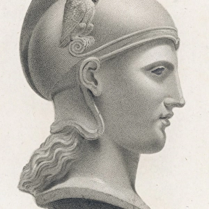 Athena / Minerva Bust
