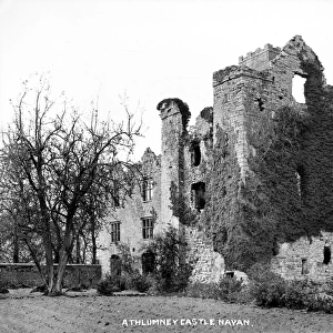 Athlumney Castle, Navan