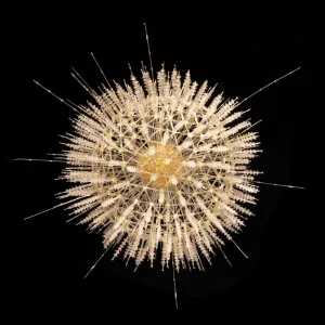 Aulosphaera elegantissima, radiolarian