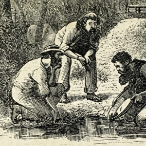 Australia (1880). The life of the gold diggers