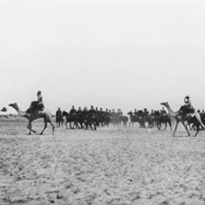 Australian Camel Corps in desert, Eastern Front, WW1
