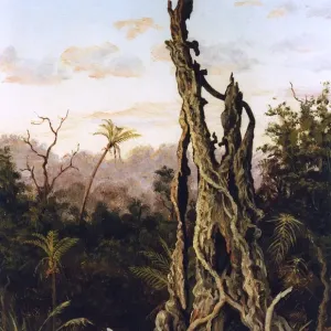 Australian Landscape, Charles E Gordon Frazer Australian Landscape, Charles E Gordon Frazer