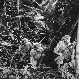 Australian troops train in Malaya