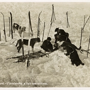Avalanche victim aided by St Bernards