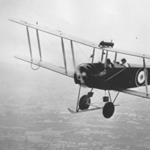 Avros 504K became the standard RAF trainer and that of
