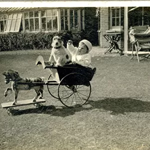 Baby and Jack Russell terrier in cart pulled by toy horse