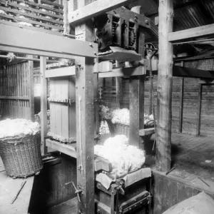 Baling fleeces, Burrawang, Australia