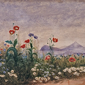 A Bank of Flowers, with a View of Bray and the Valley of the