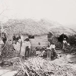 Barbados, West Indies, sugar plantation workers