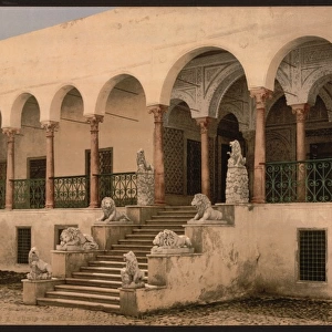 Bardo, the lion staircase, Tunis, Tunisia