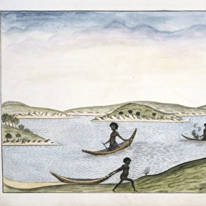 Bark canoes of Port Jackson