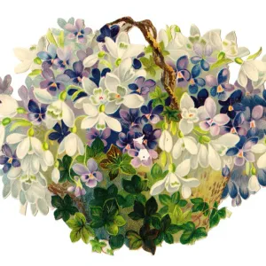 Basket of white and mauve flowers on a Victorian scrap