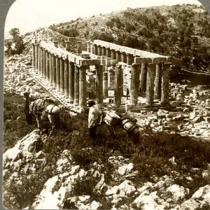 The Bassae Temple of Apollo, Greece