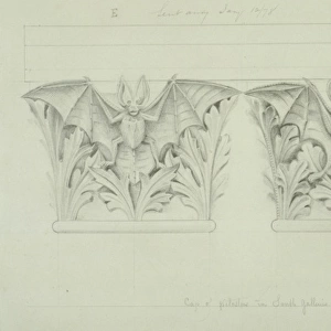 Bat design
