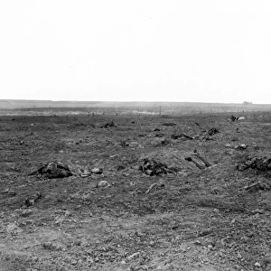 Battlefield near Guillemont, Western Front, France, WW1