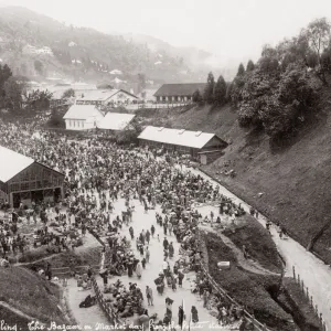 The bazaar on market day, Darjeeling, India