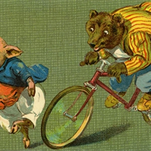 Bear on a bicycle by g h Thompson