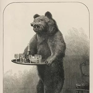 Bear Waiter