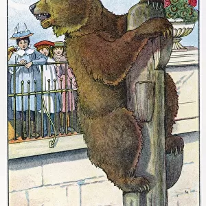 Bears / Book of Animals