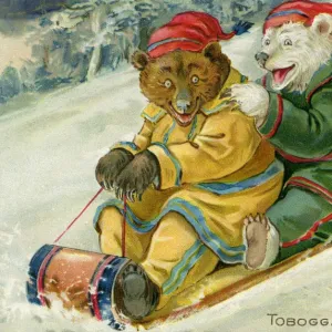 Bears on a toboggan