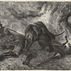 Beast / Gevaudan / 1873