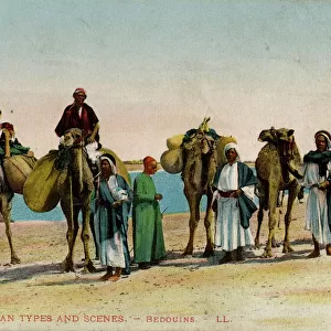 Bedouins and camels in the desert, Egypt