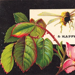 Bee and pink rose on a Christmas card