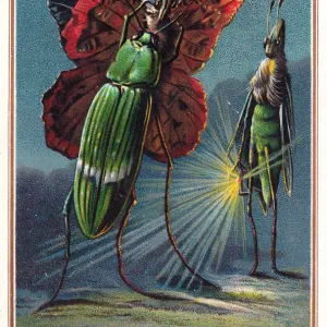 Two beetles and a butterfly on a Christmas card