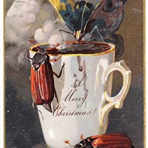 Two beetles and a butterfly on a Christmas card