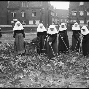 Belgian Nuns Gardening