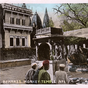 Benares, India - Monkey Temple No. 1