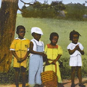 Bermudan Children, Bermuda