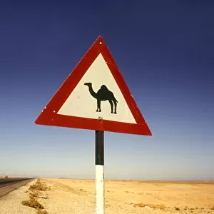 Beware camels sign, Jordan