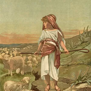 Biblical Tales by John Lawson, Young David the Shepherd