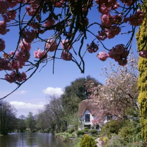 Bickleigh Cottage on the River Exe, Devon