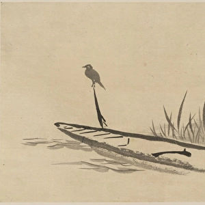 Bird and boat among reeds
